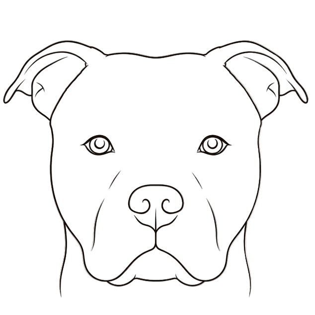 Iron & Paws